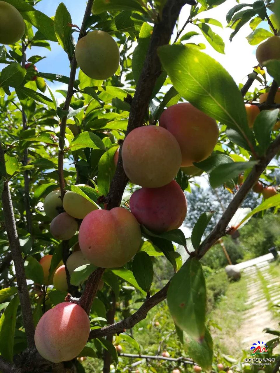 CebVGs6ttMg3cCyb0Q2Ve7Ls63lbMApzbU1UWyXcjjXRjj9vlzgVNcQD9AOqbZTG