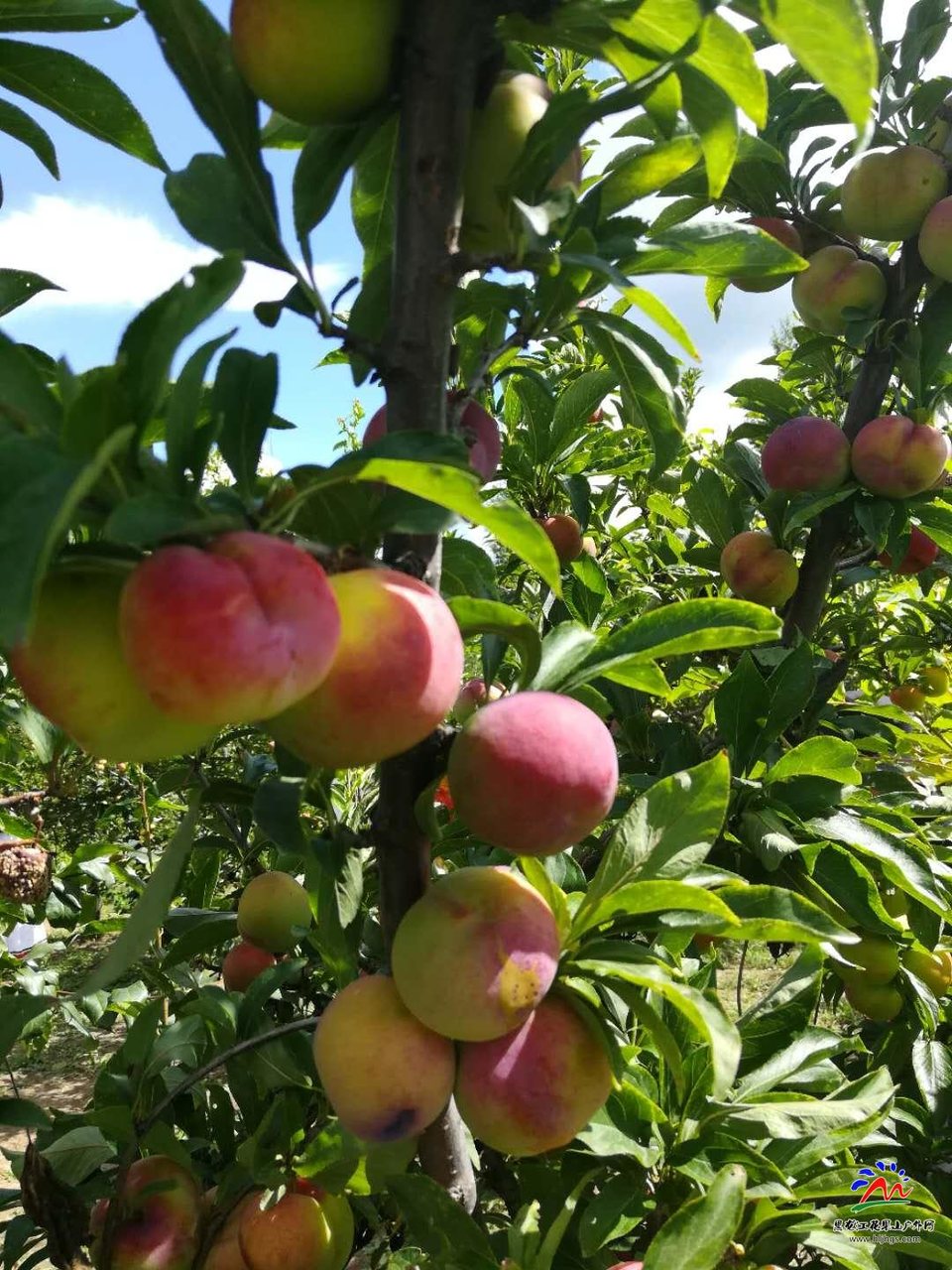 5a3KWCuX-7088qq37LhNSOYaarkFO2qlUyLyFVGqahx_pBpYWVokpruTX-RwYztX