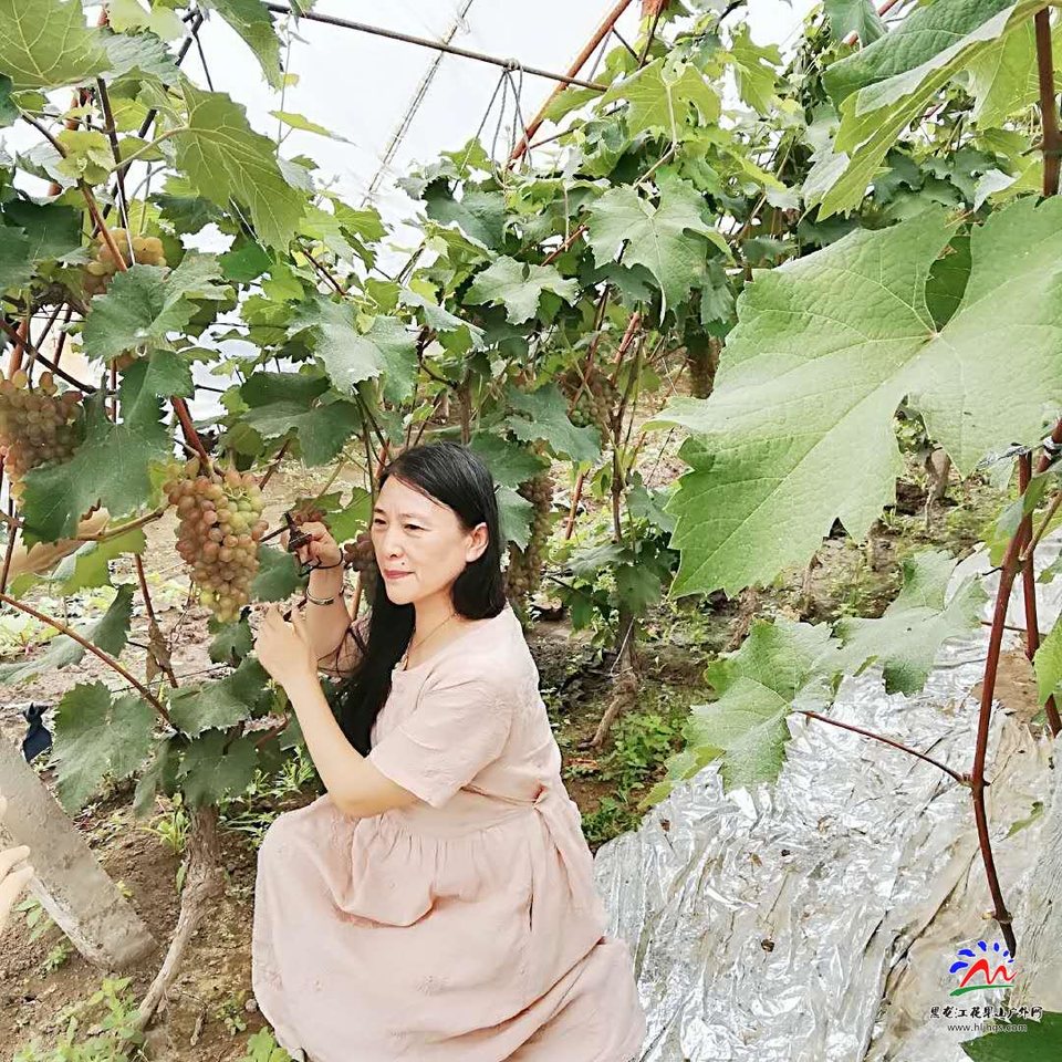 jd53jx2p_dNFNSlhudPHyPq6a2FhKRPBeZB5CYSVcgbPkrmkUrHJGWpRGUsed2Bj