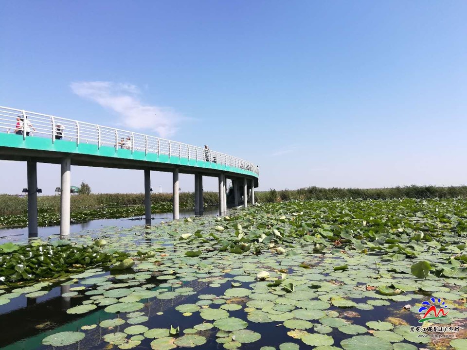 OIE34TzU79ev_I_qd3-uFbROPkFl3Koe-FP4RtudIQYq3-H0Zpb2dJXqPqVOMOSs