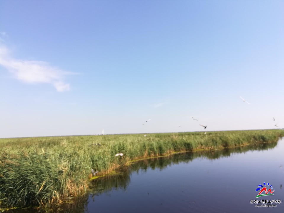 J8fPKvMcocS3LfTULyUm4EukdL3NKzMoSmTQP_VWarND81i_CTzidasDYvAVIQVw