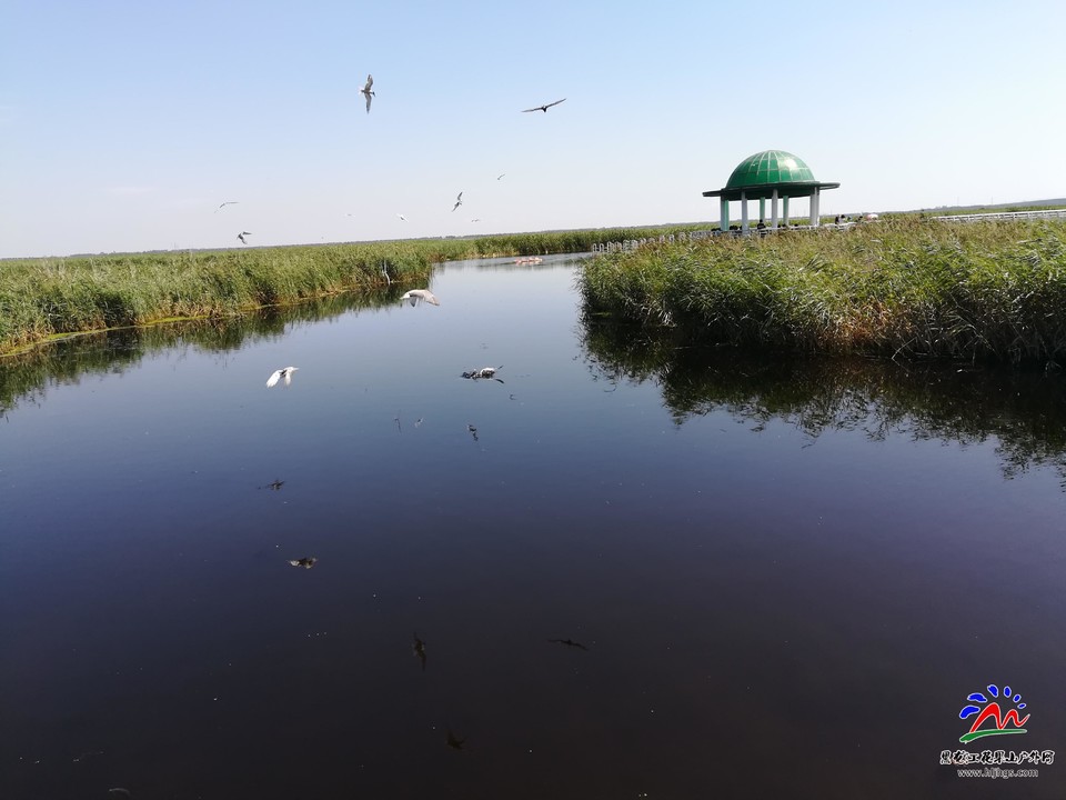 oE8ivainuZcbs0gI66lcsRhM90r0xJuWc8DI0ePraj9rXo-zGCWAUWyMRFHZhHM6