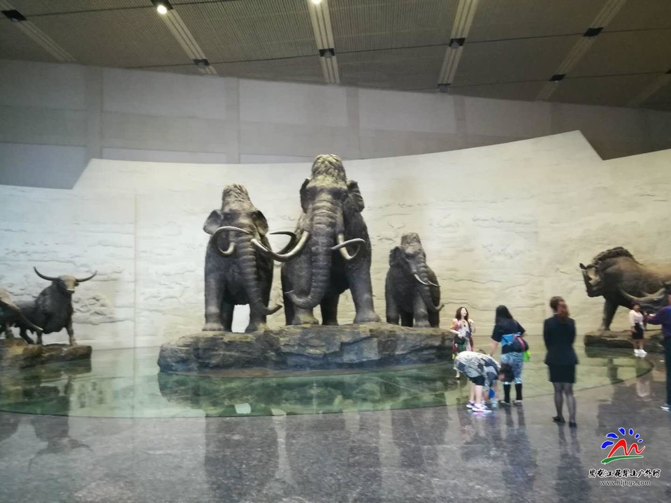 Hun98uJ3bBQUGmyfeeK9kfbdn6L6uCadHa74y8C315D4DNASN97endIMFC1Bh1uO