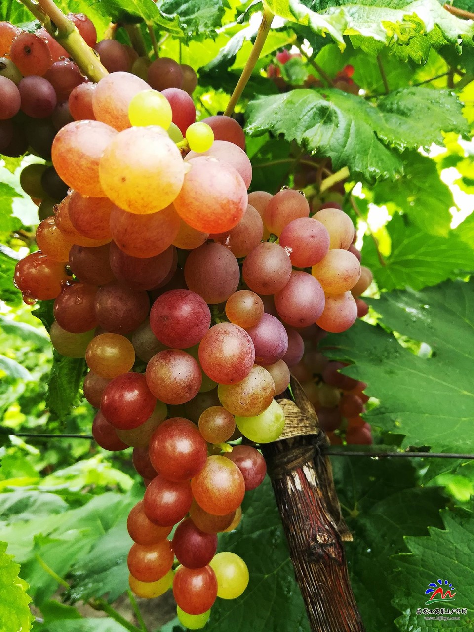 bSAcTtnbeGcKVU2hMpFXGy7N_qYqzaW0jO_7YD-ogoyTs9PMUx47Bq8P-bRVVszH