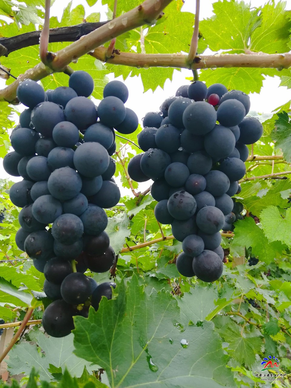 uB-y_NqAqLltpU0EgJFCoYvO9r7A9rKZxq0WbFe5u4iWeqNoFMDnetT9jUv7WzDU