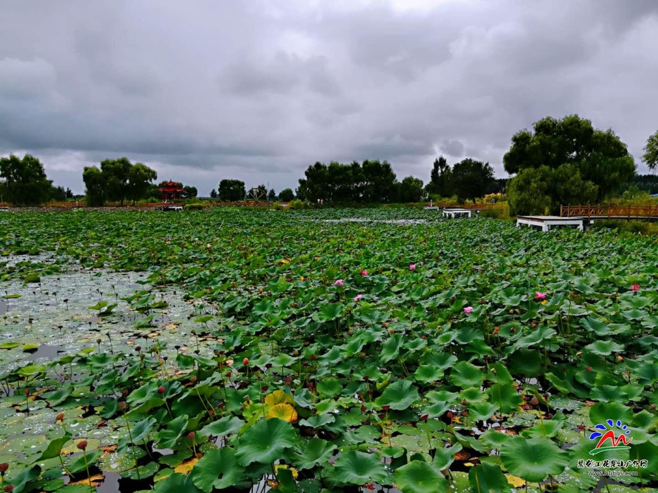 ve6y9mGh7W3nmMg_tHoqVf5UwxA_r8dXRHOcohl4UA51Mop5CiG37WU4w9ddU-OA