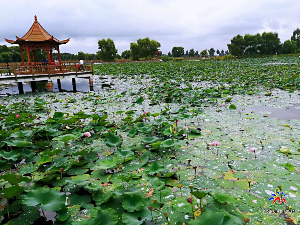 yhfRNxYQkUoIOAWsbz6BywfEJulRaA5wPk_2bvNBGctJVL2VsfnrUmY4MwtOntWQ