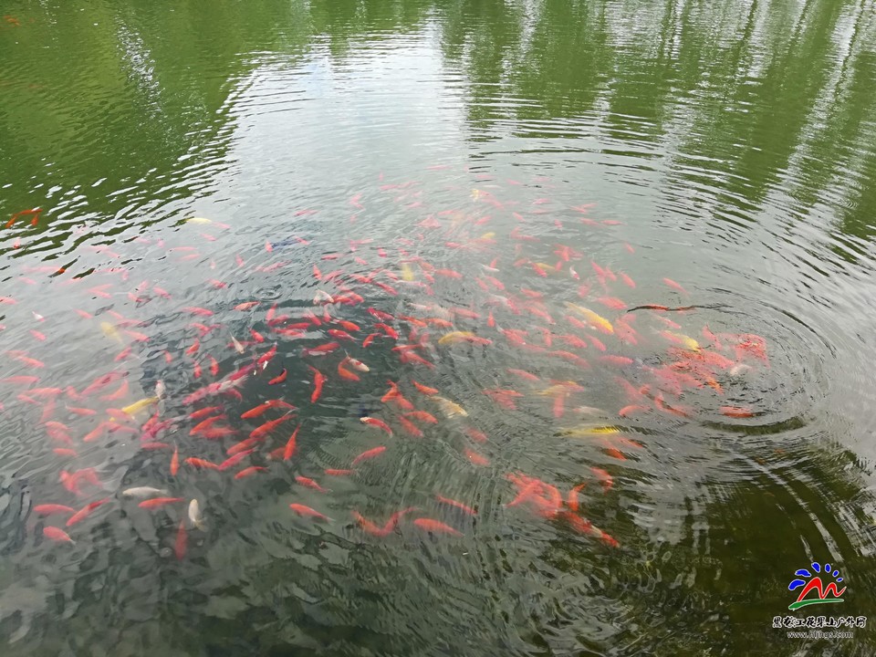 lOzguylsIEGqrRpaadozr-NfrVM7UNMD-ScA9rOP2C-hiIF-aVIPczXpo0ow-M78