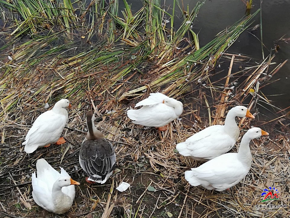 -E-9qCJY-FbibPltfKhDv1oQNKP2t_F5v0sAXtCicwppigv8yq8za7tEHtD7Xi0p