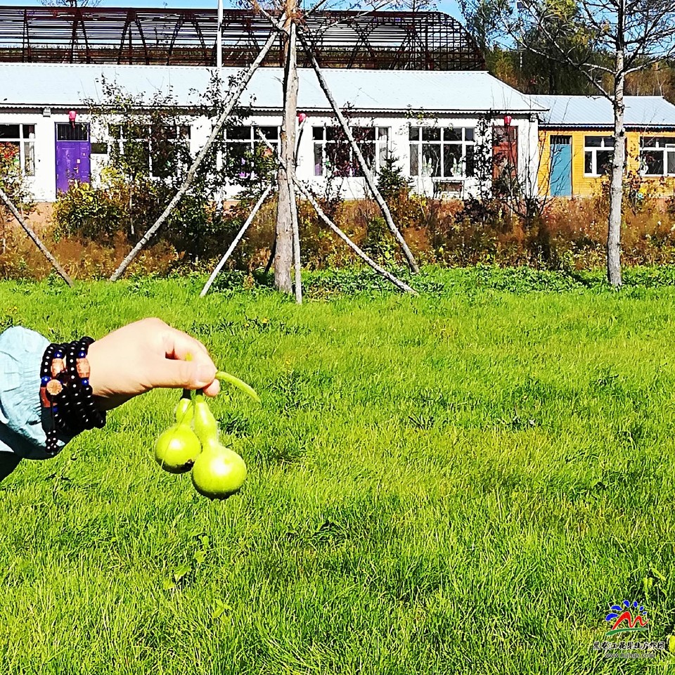 55AAx06Dn5OCOmjIR5Jl-6ik_jFf4TnbtA90ZMLsSjgLqSaPZq5nQXOY8OJrnqrj