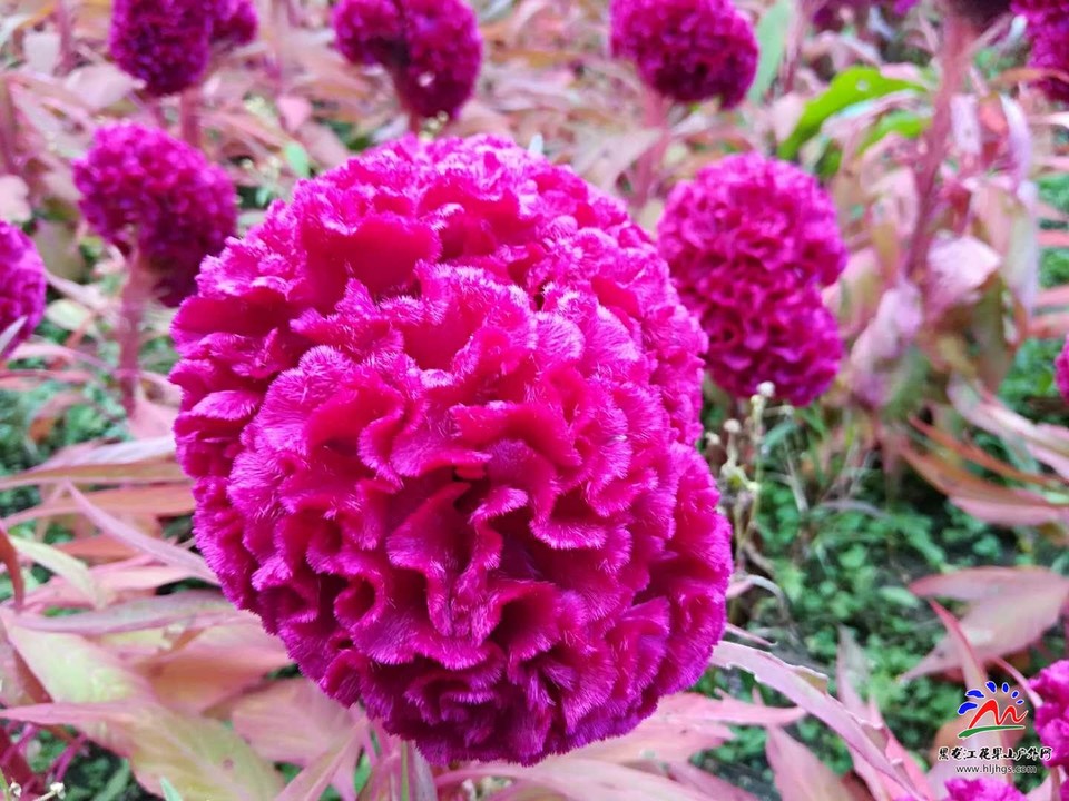 Ez9C3nayW2uLaVxsHyFFHvJw2_RsdW7Ctj2fK02MqAkn2uhC6llQyt-DN9DbuRLv