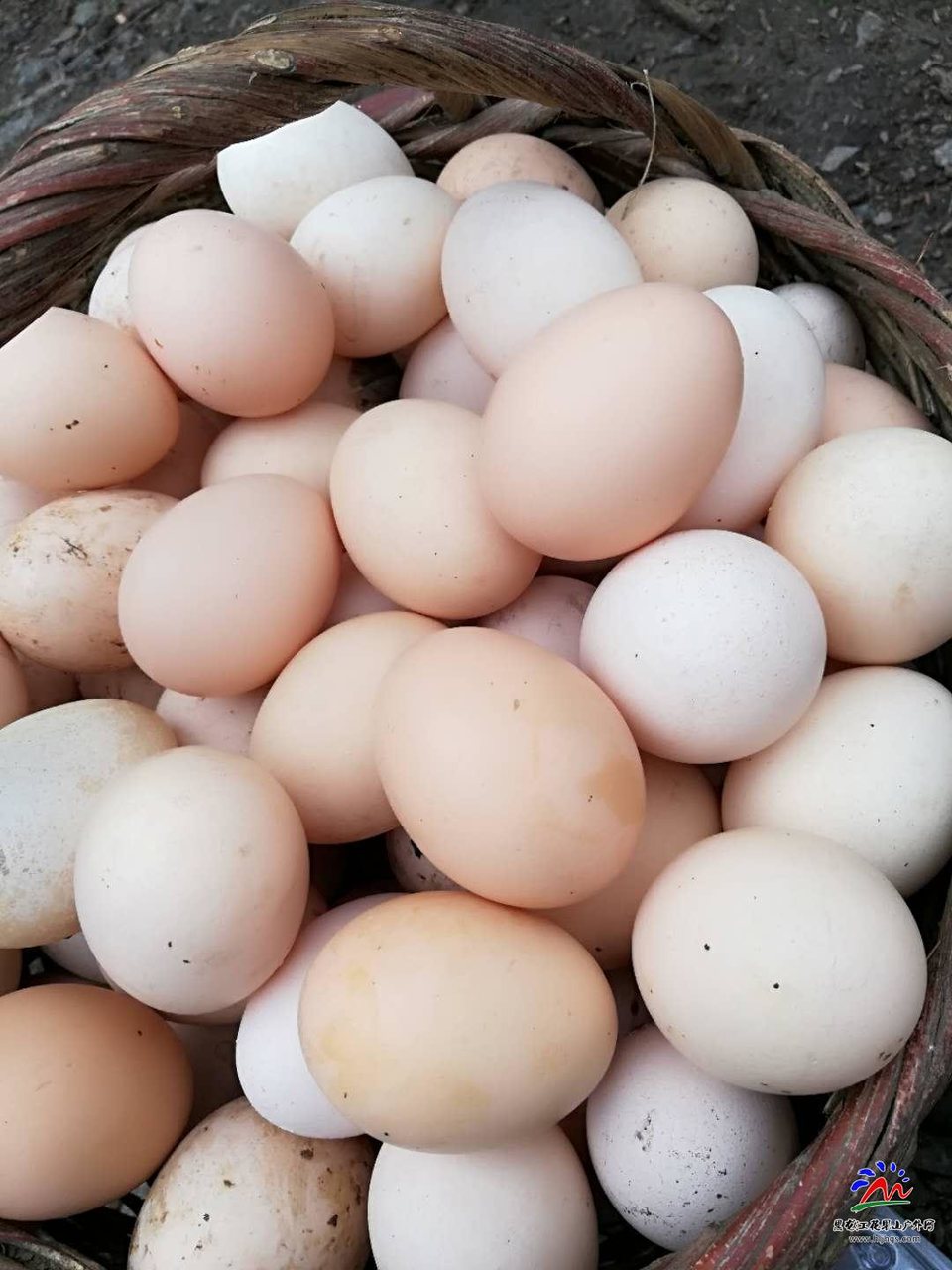 vnknDEelWJXOy2ckJ8X0aiF8v2f4N2SceOQCxoWYrvrm7x6ansTN9nQ4AO_1uvJl