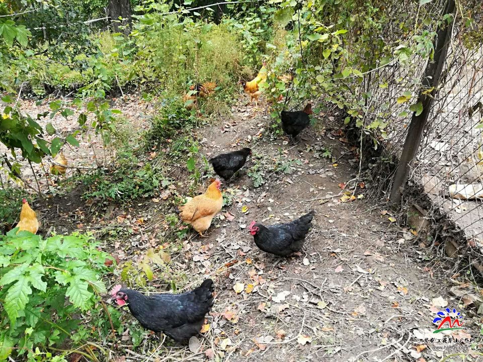 Fduvh67DBz10rEn7fP-YtfAqGJwB-_Rjtv7EPZOjZRk1lvp94OYqlIhQP6aRM6mv