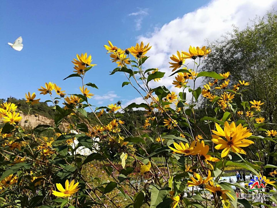 kZg7R6hGD7UGxyzhoIlQBZ5S1GNFrFAc2j9S63Cpy9iz9YutTCCO-oDk6NOPcigB