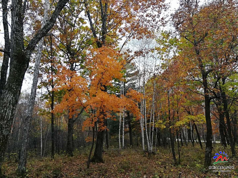 fnAuX3Kgpl28XdnNg04kRqm7hVDJMJ3-gYkqwNmWuYl5HMQeb1cy2Vmb3gaUVtOE