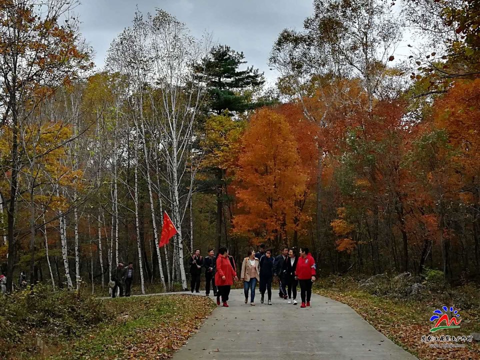 64E-GKQV6c215cpDz_yfJEBFjTWB-lNiKjveXiaCp7pih7gV_iKSfT5WIX5UA9EA