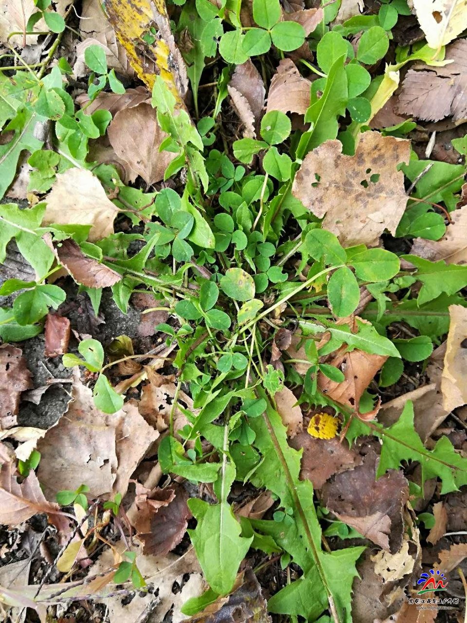 Da9ZguIJ7M5Y1wusChtb-yVCW1vanUGzcncrrzah5pYFBcOnQ0D8P_PGPpK7lP2M