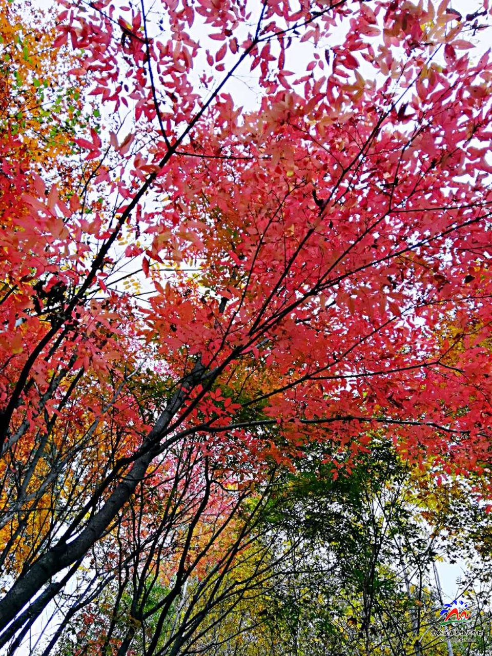 xEf-xLpX4jpn12_j88Dm5sf9TP7FKGfbUzvLRxnXv9GXjirnNCkG_-EBVMnf_KsW