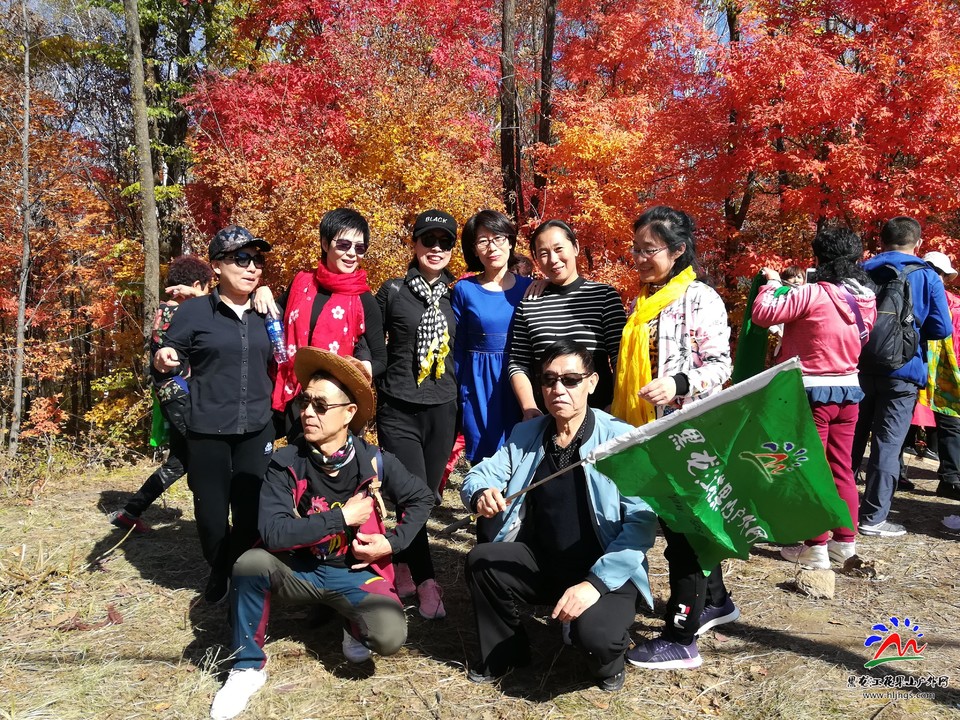 QTukg-aYrbBJ7505o8PLRikZ8Ecv1Jjh1wwd7LFE7wSAiH_PMsCpGJf7XODG2CNP