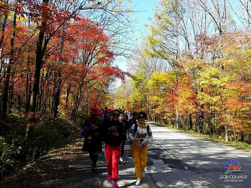 TcVRVGcMcWSM4r5M9toNS9ggOh02ineuiwgWYIht5q60eZMnHFVgthRKxThQ3wfU