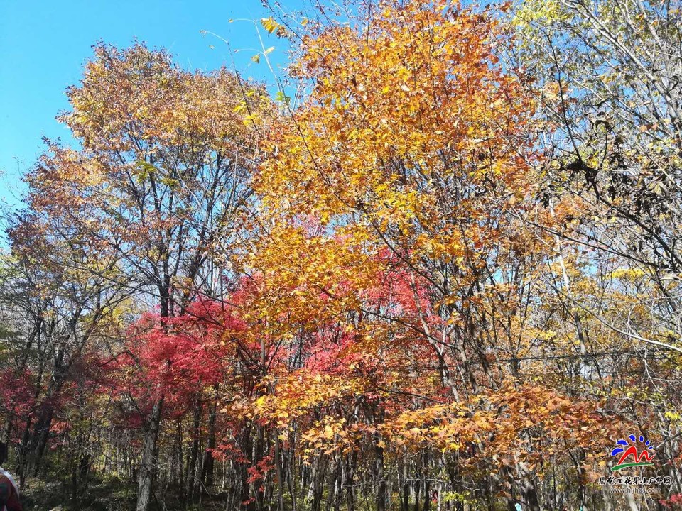 PoHF8xChosJ6l498EA9jdXwfYkIbBQ6hDzFyVrGCJ_-0sDvY8rhPz8rArBr8UDcY