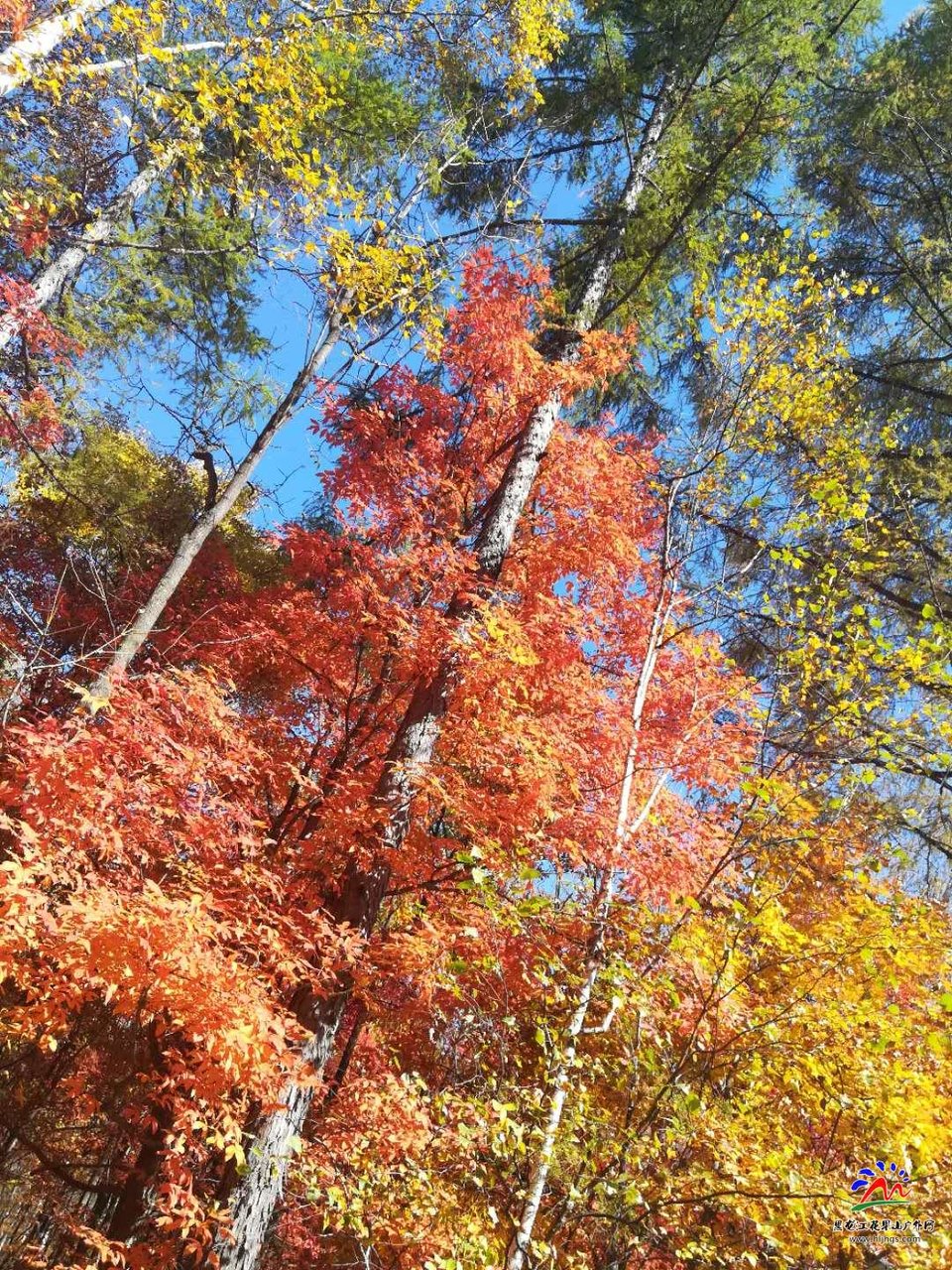 uow7IZmI_82ITKEFNDP_UKnC-wamiEHPURLvosv5pXU9taz3nCDRD5inAg6nxDLp