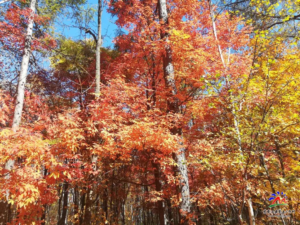 f-jnfenYut63TJtAYO_MN7gZAgpZIG5TxU6xpRV-dA80cSNkdrVv2WEgS7FFgACp