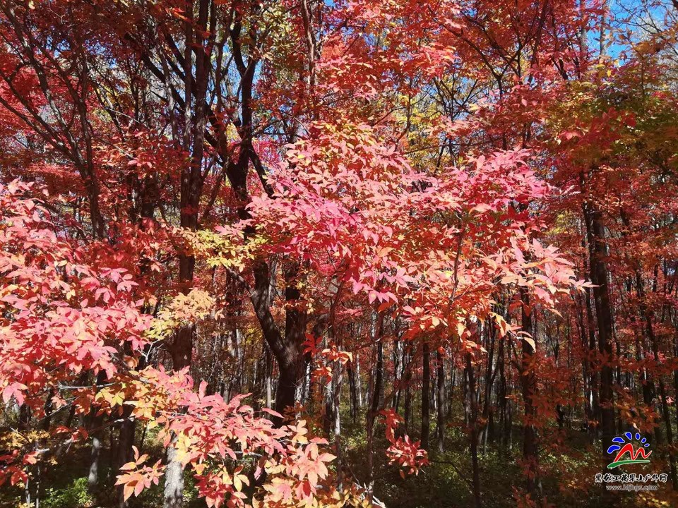 u0FwOlsEsNB7CgzvwRFknSdUoik-twxvIC6BghF9io5CNE94UDICSK7R3yy-lNwO