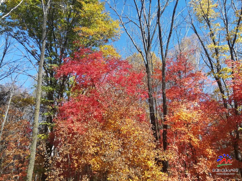 ifz-gJUbiYwsuIc-1Td58mC0eHC8diAnPwCj4bTjUP7HAAzULh3kl61toyj_PIWR