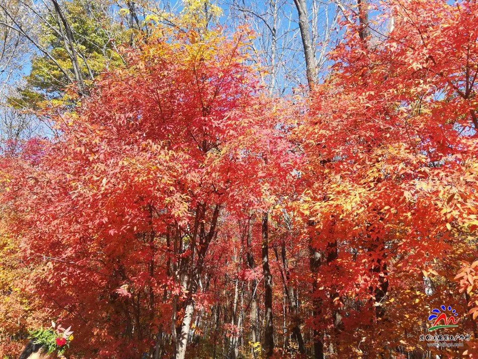 XK3SCAzebbQWis9lpMGKGkmBxwuXQqAN9jMapmvfTDVEjX8SDDCYAAW4YQgAY5Tx