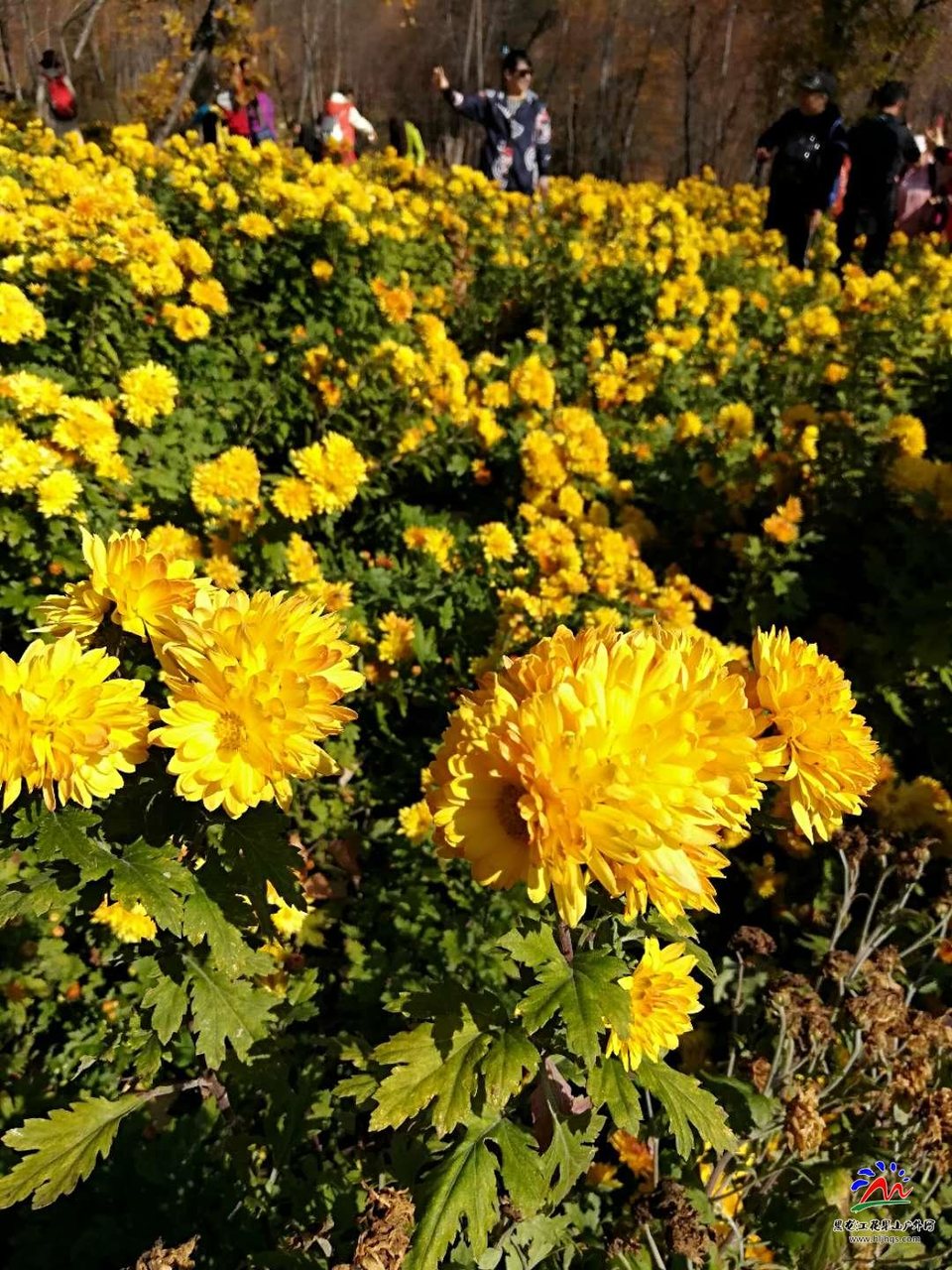 GSjG14PNoBoAo3cvj-cgAuCEWO4CZZr4HuIUmpe1dgymwhgplX5-QoRxr_LIhhL1