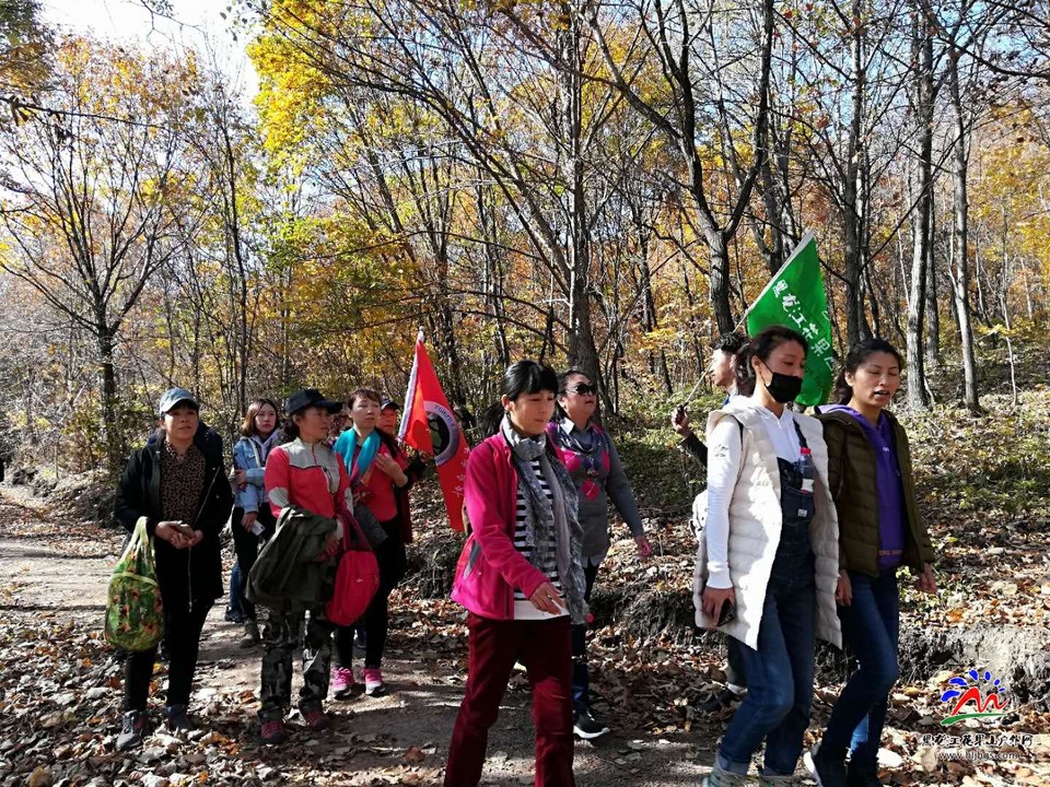 FjHwQ11xKY_P-TDuudtCWdzs58VEiakMjCUxDrAqNJktAwLHpmomAaejMvRlsPye