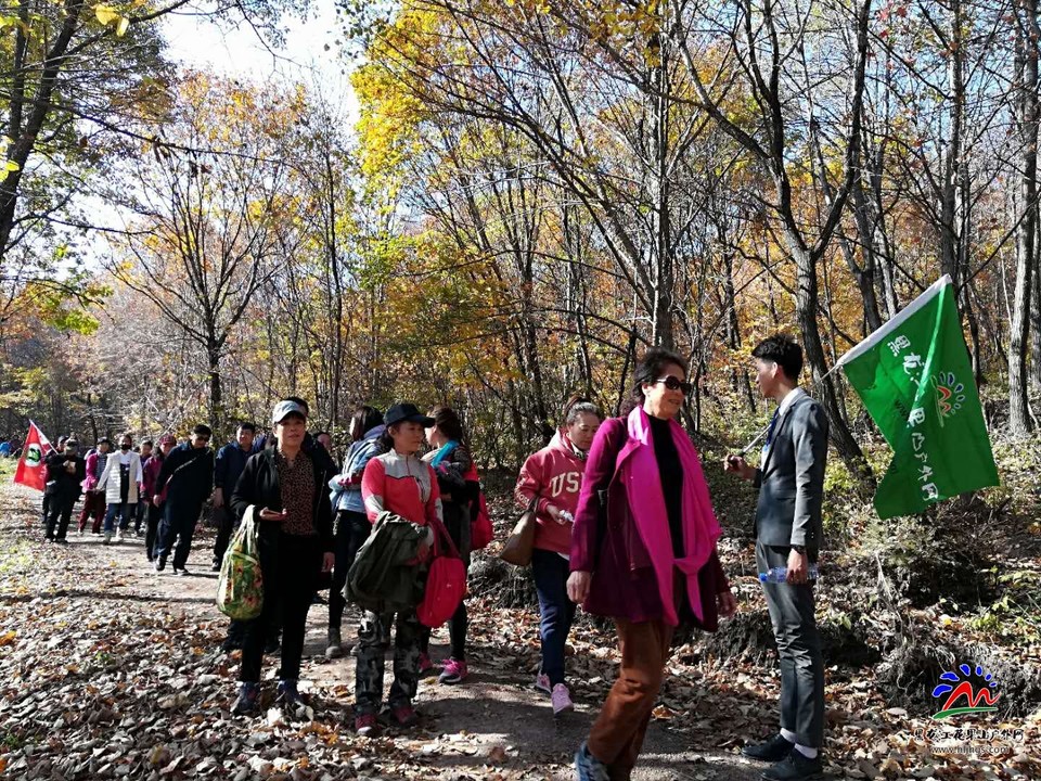 mwHJ6-PI0rdSyXcViIM_7SI5oqWN-gOm_MKLKqftEkHJVpWry6nlNUOP5NlQKJxA