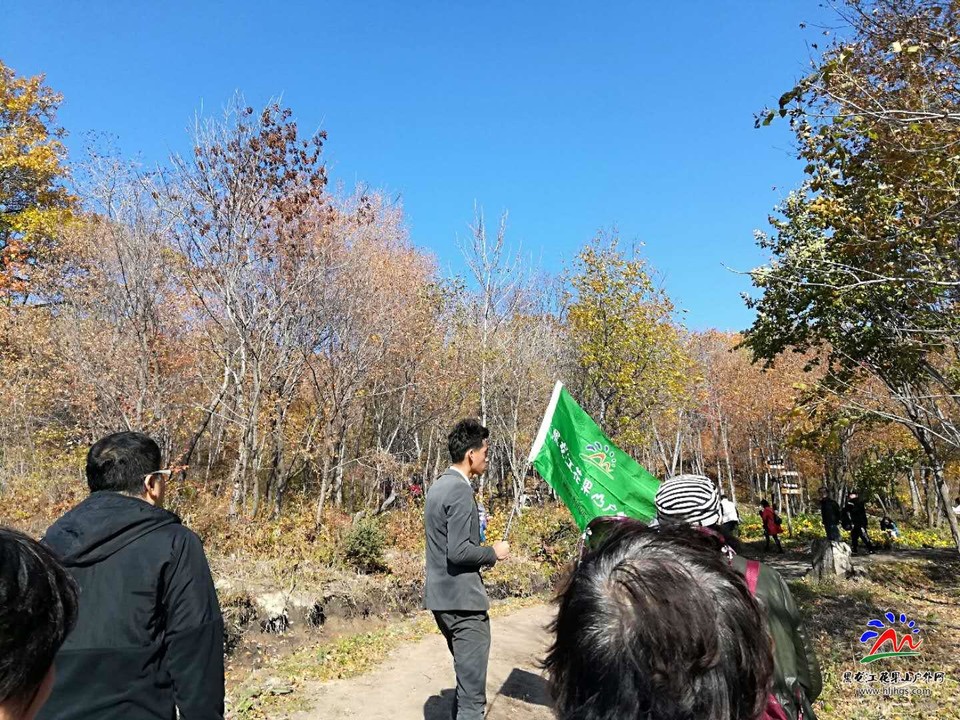 36Sm2GH-Fvs82KrQW7nAuF-LMO_UnxhFo0fCoDEdlcfuQrkRSp-sKfYeuX_5xARU