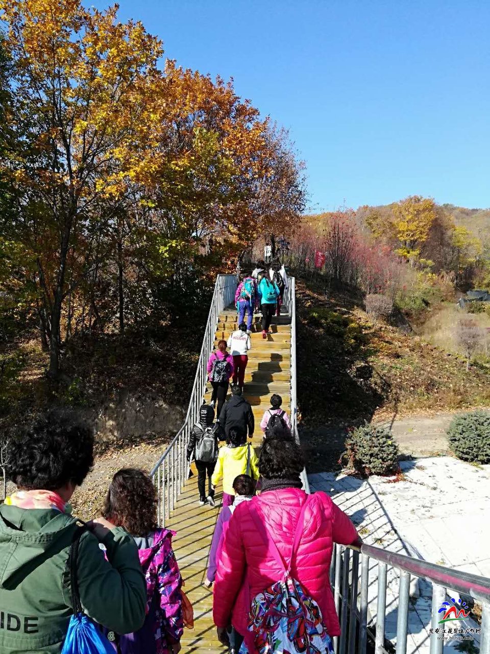 bqiwp_yFIKrT9r0GZvMdjJikgZ0LrSrNDYGaJG5Zu11KgqwZzcLpS1K_oW8VZ5eR