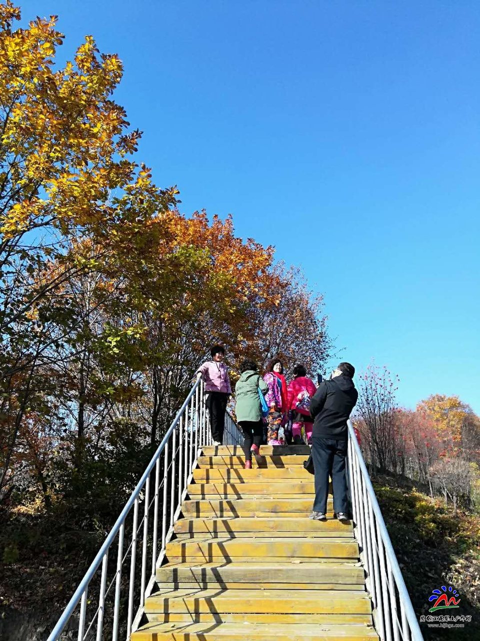 YnqYIar_LE3oZ9YndXKBq3LkC9AX3vfCH2O7I8hdMNjRDW8SndWz9OYEc9Dtl1h7