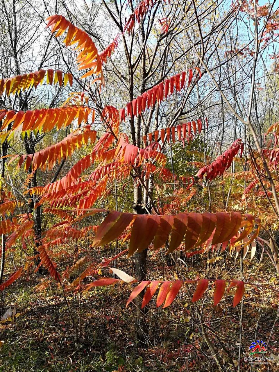 PbUJRKqek6XwmM5DayeJTJu_aN5TGNk4zFwIBcsvV9lvoCovgfcQd_Zdk2cQ1Awr