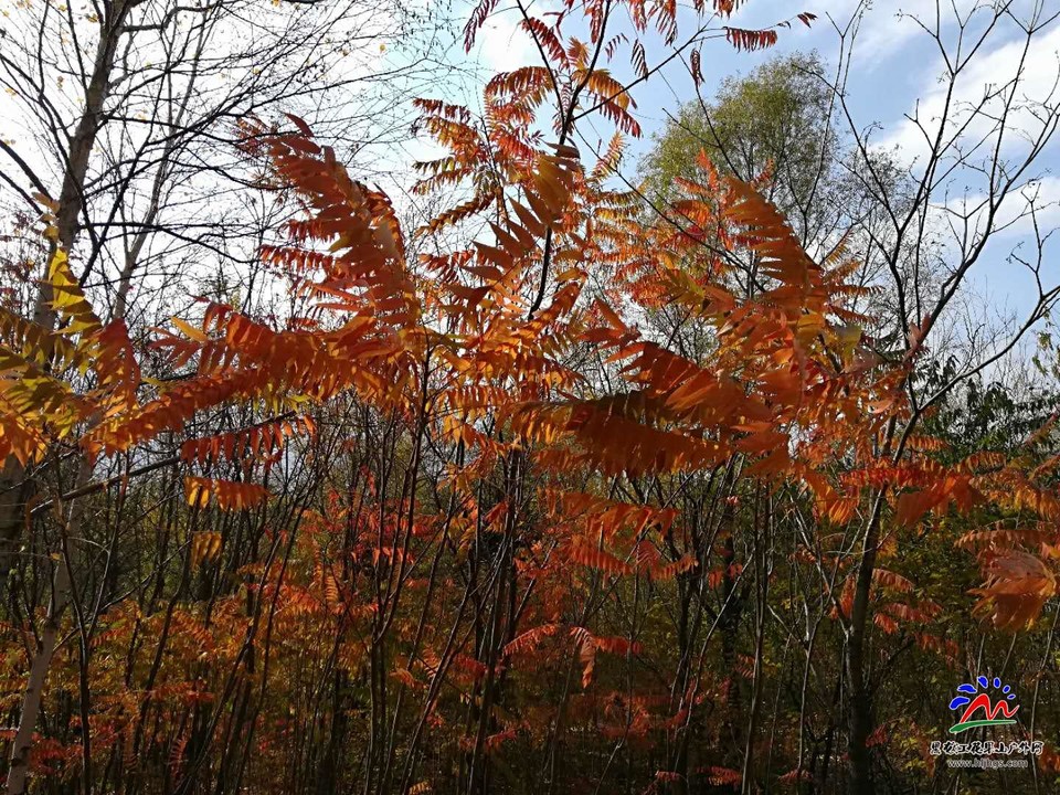 c9m-ivRDpGeteIFBnOUa8cZKYNbZ1YW5sPI3hD-md_LQgI5wsQf8GDBXdAwv2a-G