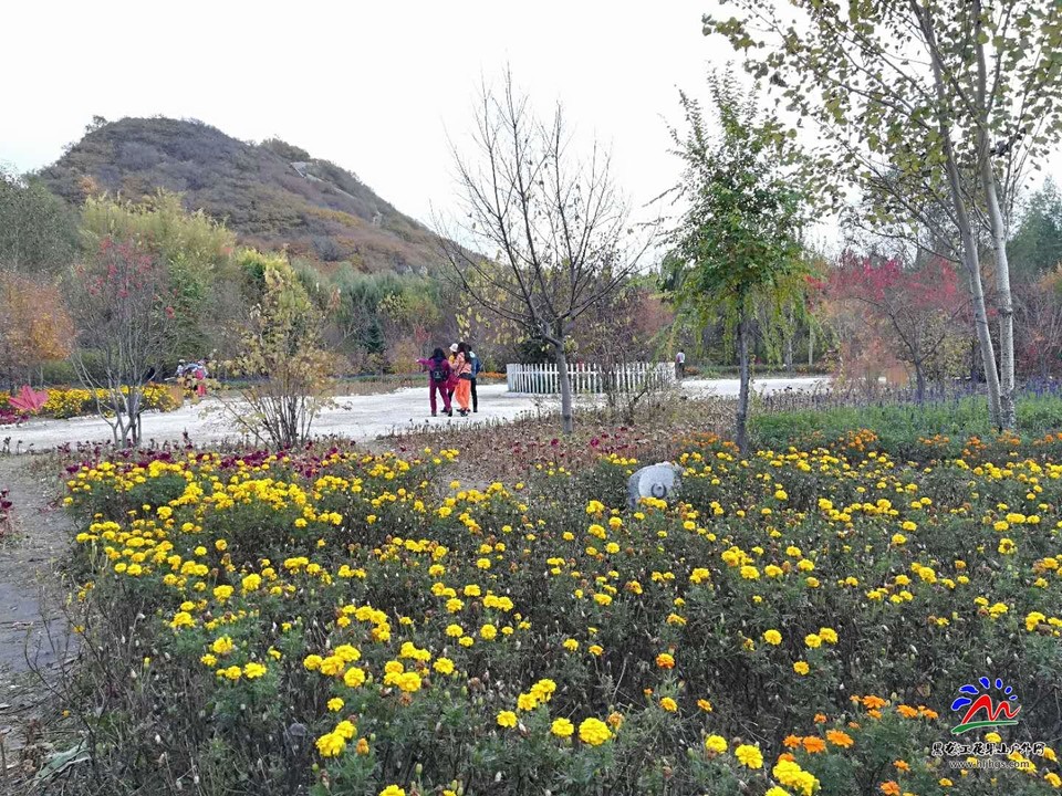 tBmPuOLOno5SLUgfR6fOY6disxLjhGiwWvGYEOzEKQniE1Ifdrqszo-M4jhSYtPh