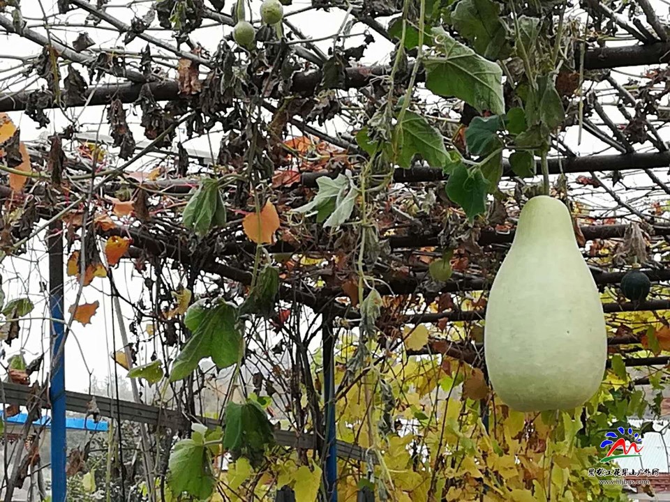 Rlo8qKAFcCEiq2UaaI5cz_jFMHkj36nlNNcZ5WdeoLNpqT-6OEbOO7FAfLZzR3MI