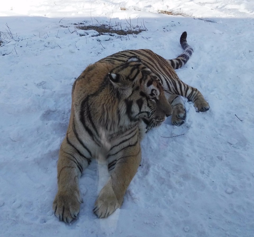 mmexport1520505151738