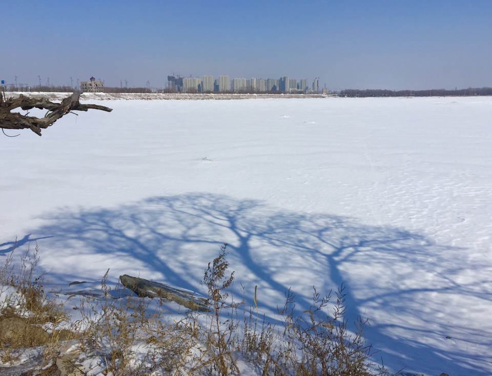 741D205D-A371-4988-B636-D304D856B83F