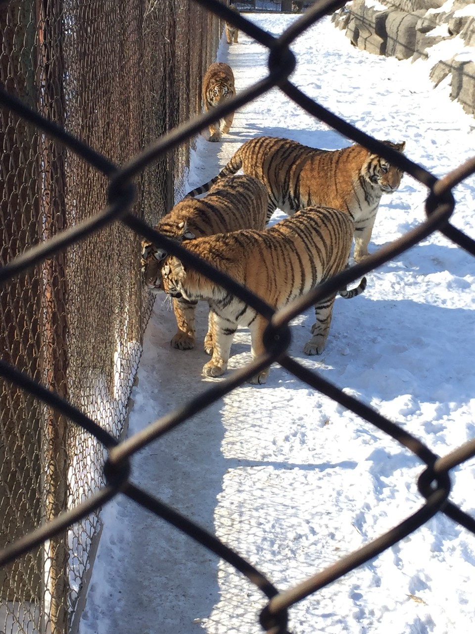 452BFC82-F2FE-4349-809C-EE036A2E4A31