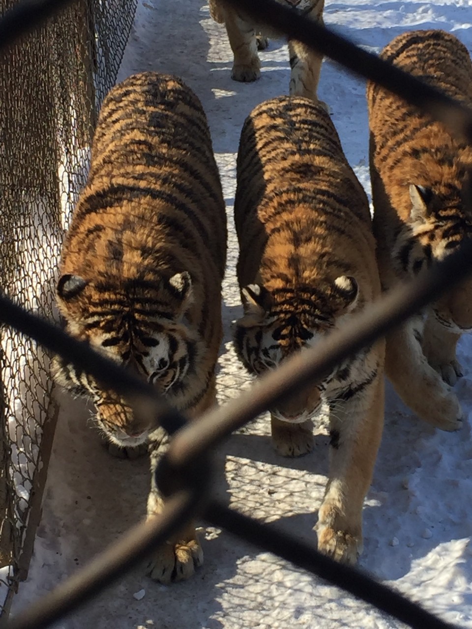 DB880F34-30BB-4A99-B3C9-0D5080945F7C