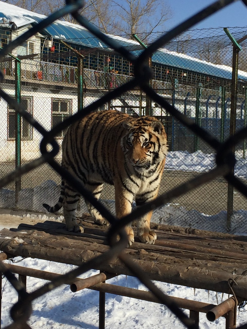 1B19ED4D-C700-4B86-A952-B6B0AC760101