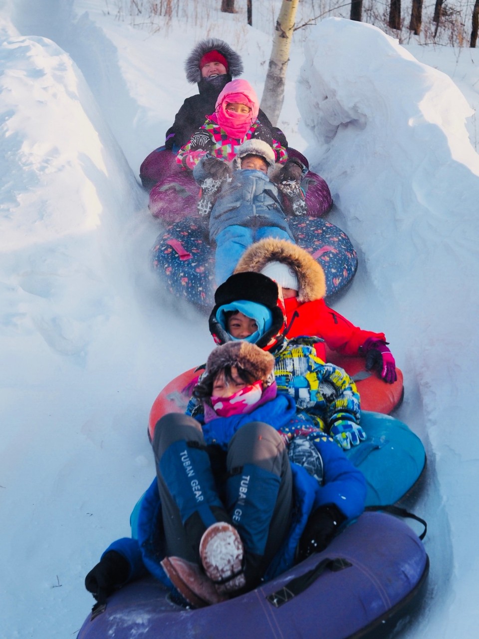 mmexport1517002345759