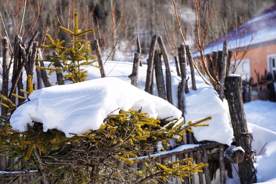 mmexport1516967989606