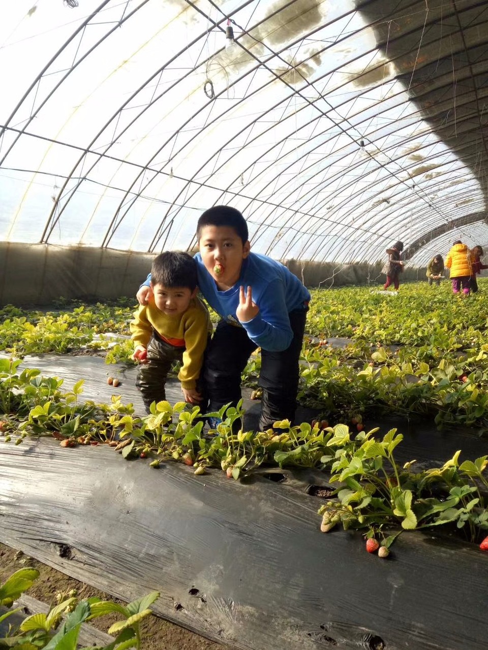 mmexport1520163374610