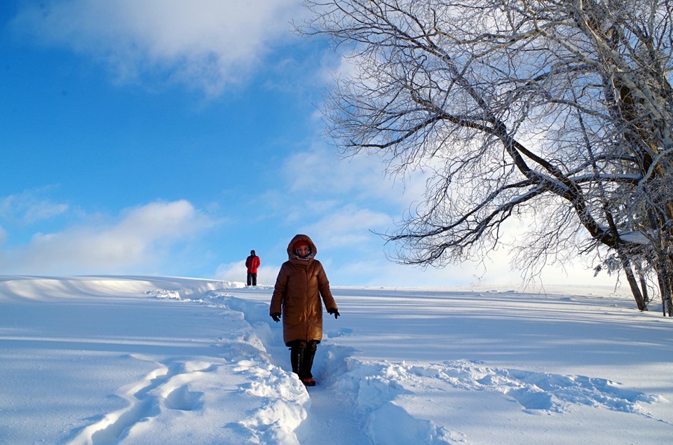 1517272710901_mh1517274163770