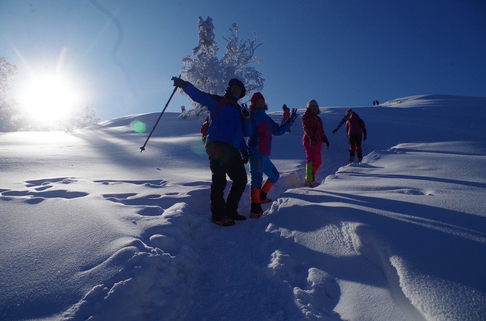 mmexport1517747903536